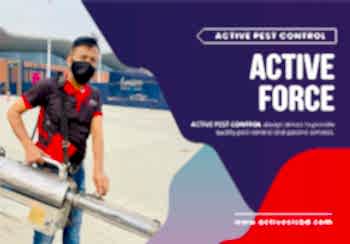 Active Pest Control Service